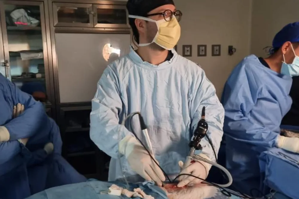 Hernia de disco